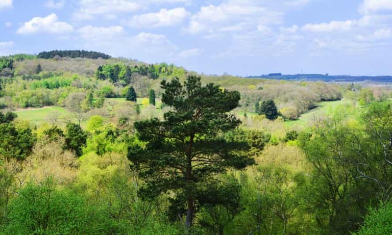 حديقة Lickey Hills Country حديقة