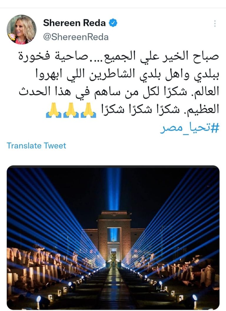 الفنانة شيرين رضا