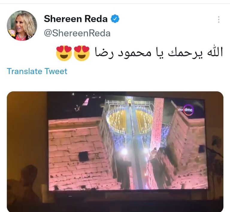 الفنانة شيرين رضا