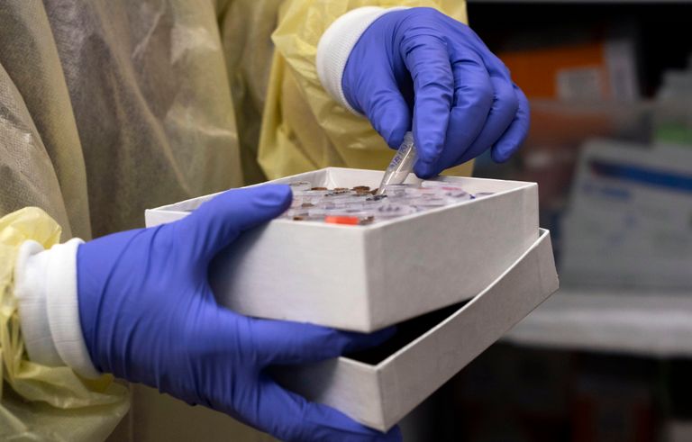 المتحور الجديد أُطلق عليه اسم