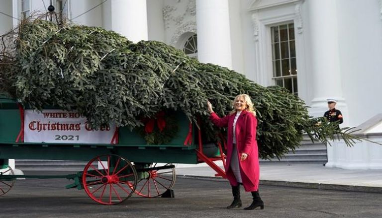 جيل بايدن قرينة الرئيس الأمريكي تستقبل شجرة عيد الميلاد