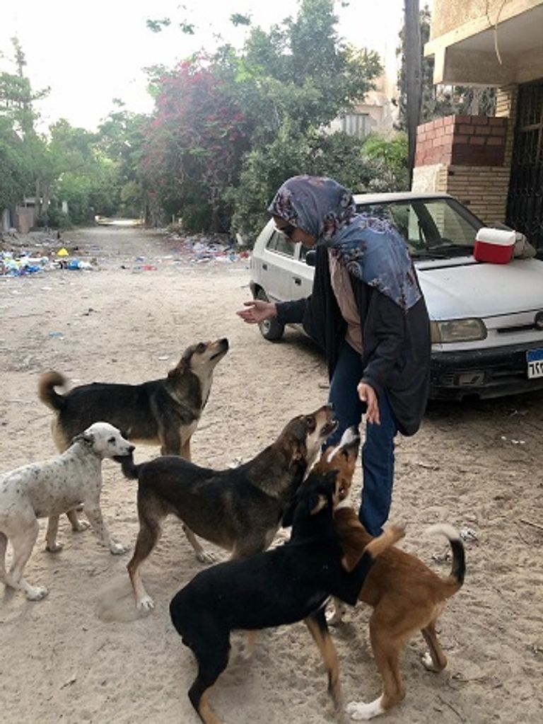 العروس لحظة إطعام القطة