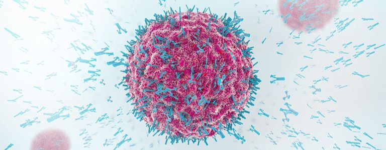 الجنس والعمر يحددان مدى قوة مستويات الأجسام المضادة لكورونا