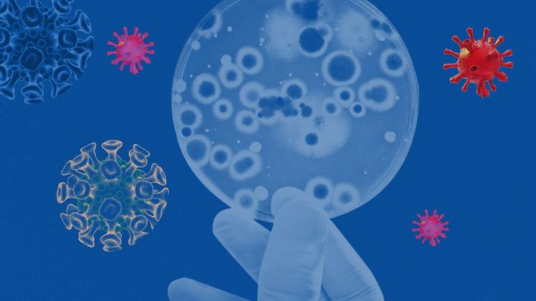 متغير أوميكرون يحتوي على عدد مثير للقلق من الطفرات تصل إلى 32 طفرة