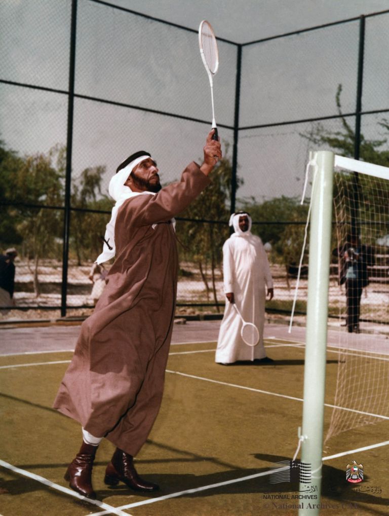 الشيخ زايد بن سلطان آل نهيان