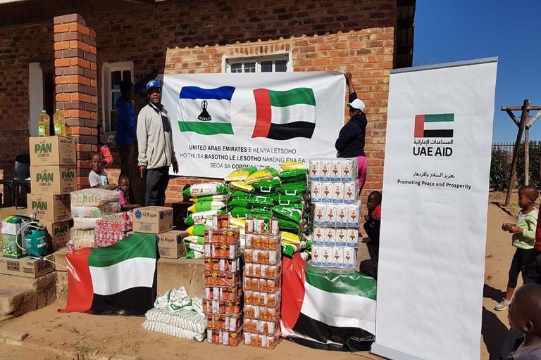شحنة مساعدات إماراتية لإحدى الدول