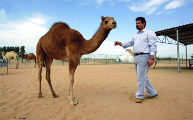 الإمارات أولت اهتماما كبيرا بالعلوم منذ تأسيس الدولة 