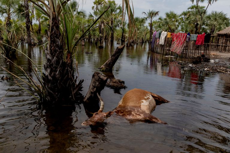 700 ألف شخص تضرروا من أسوأ فيضانات في جنوب السودان