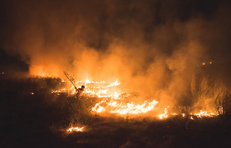 واحدة من الصور الفائزة في المسابقة