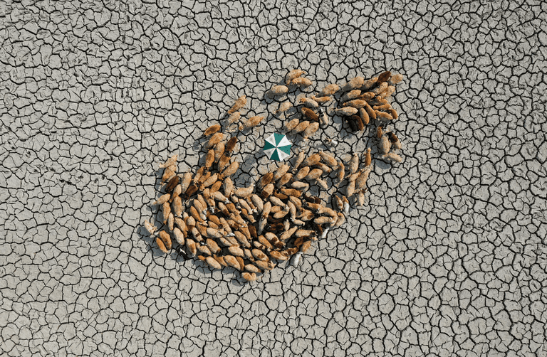 واحدة من الصور الفائزة في المسابقة