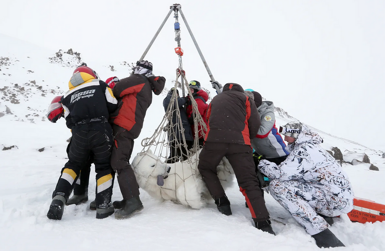 واحدة من الصور الفائزة في المسابقة