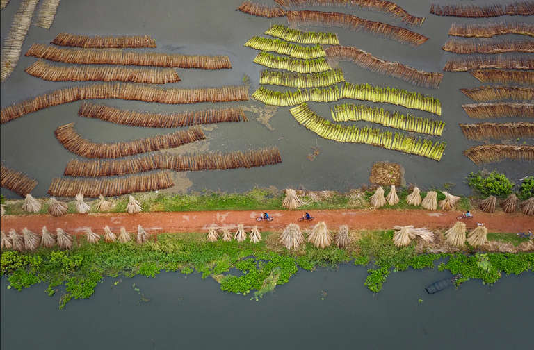 واحدة من الصور الفائزة في المسابقة