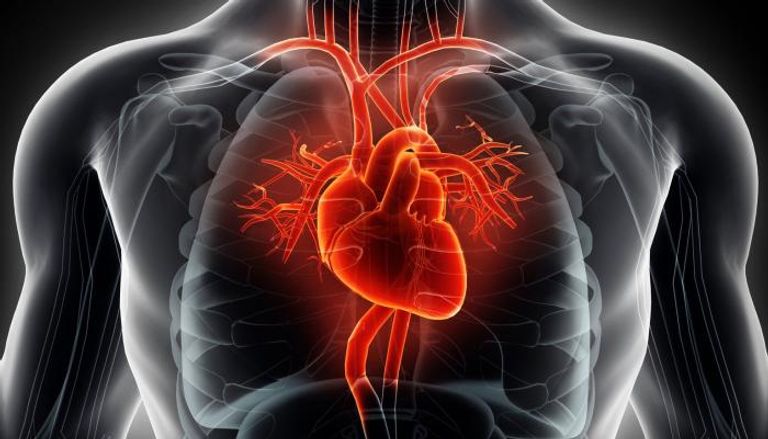 زيادة معدل ضربات القلب ترفع مخاطر الإصابة بالخرف- تعبيرية