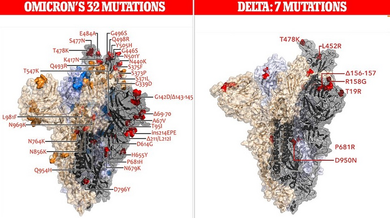متحور أوميكرون من كورونا أصاب العالم بحالة من الهلع - أرشيفية