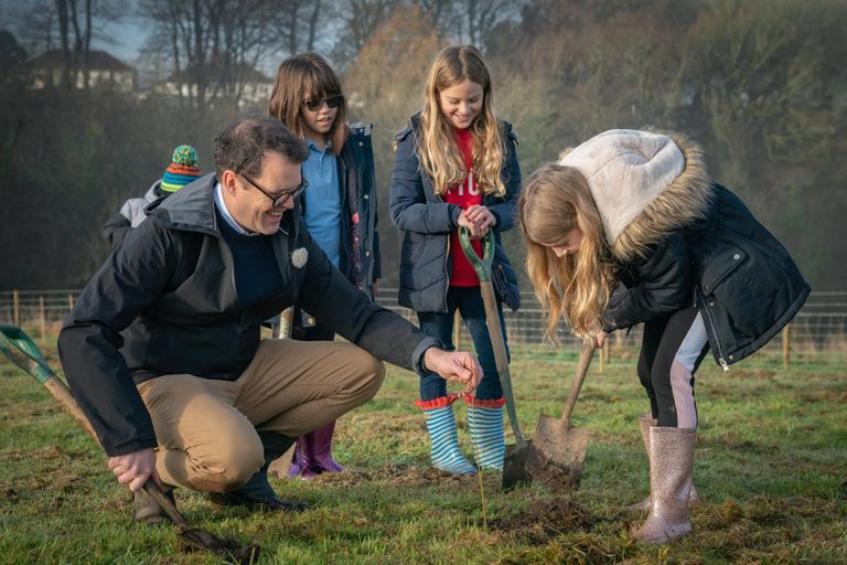 تتاح الأشجار ليأخذها السكان اعتبارا من مارس