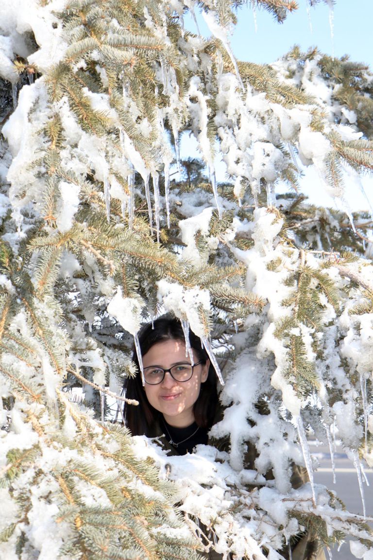 الأشجار وقد اكتست بالبياض في أرضروم