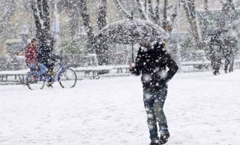 الأشجار وقد اكتست بالبياض في أرضروم