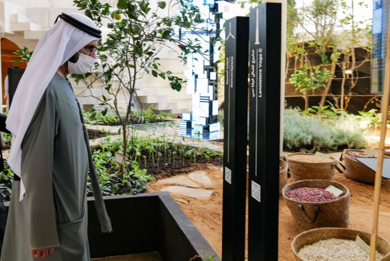 إكسبو 2020 دبي.. فيجي تدعوك لركوب أمواج السعادة