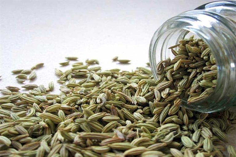 الشوفان بوجبة الفطار وسيلة رائعة لإنقاص الوزن- أرشيفية