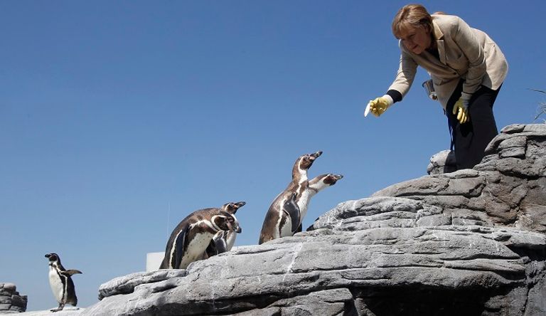 نظرة حادة من ميركل لبوش تعود للعام 2007 - رويترز