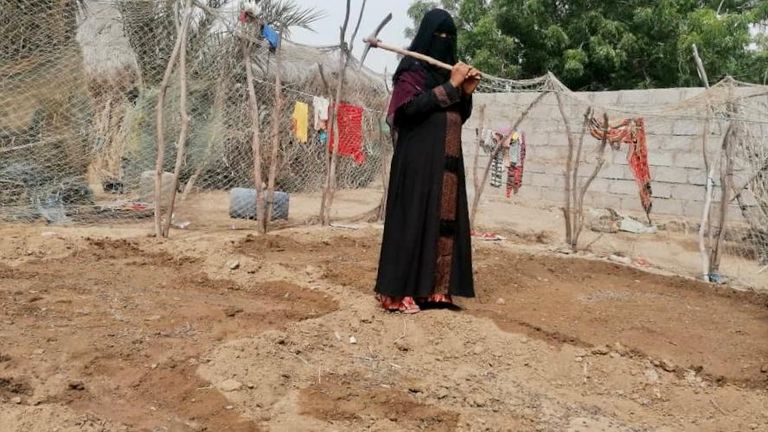 مزارع يمني - أرشيفية