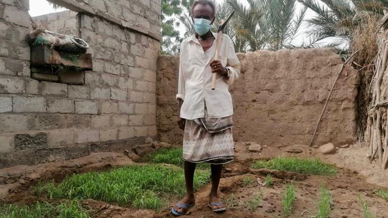 مزارع يمني - أرشيفية