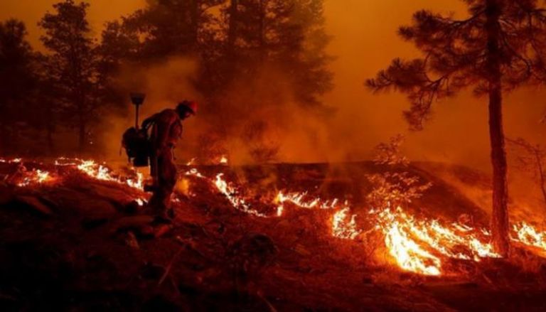 حرائق غابات في كاليفورنيا