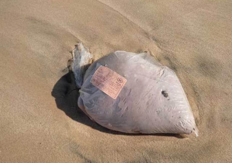 اللحوم على شاطئ بالإسكندرية