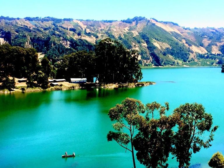 نيغا وداجو يتحدث لـ