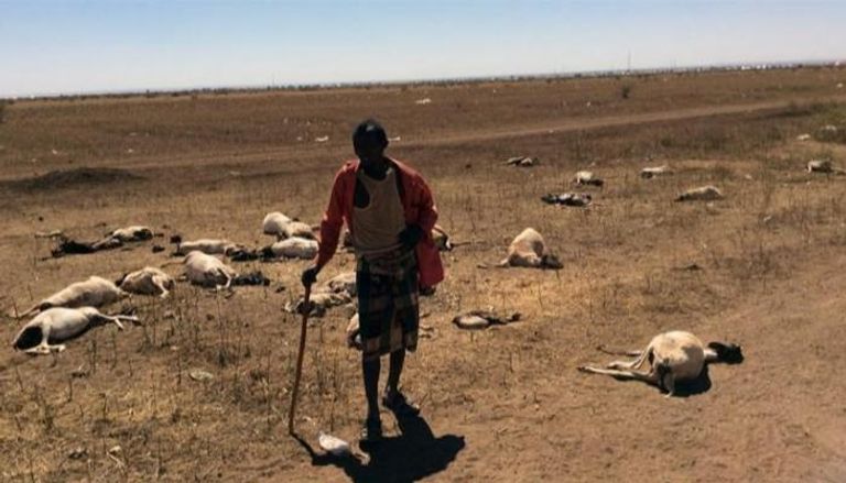 الجفاف في الصومال (صورة من الإنترنت)