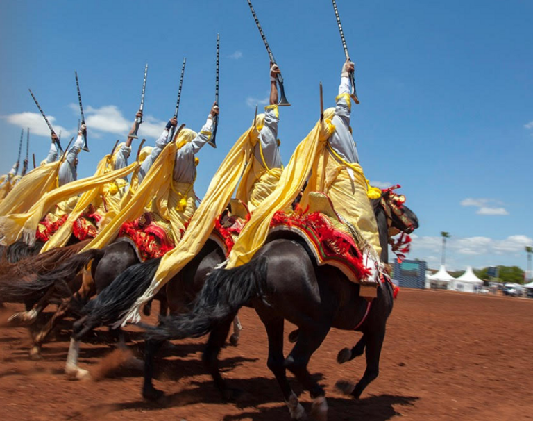 عروض "تبوريدة" للفروسية بالمغرب