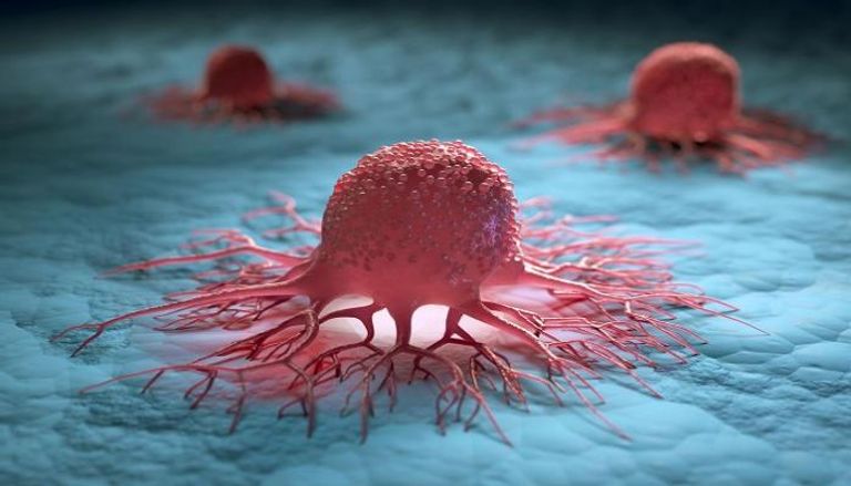 خلايا سرطانية- أرشيفية