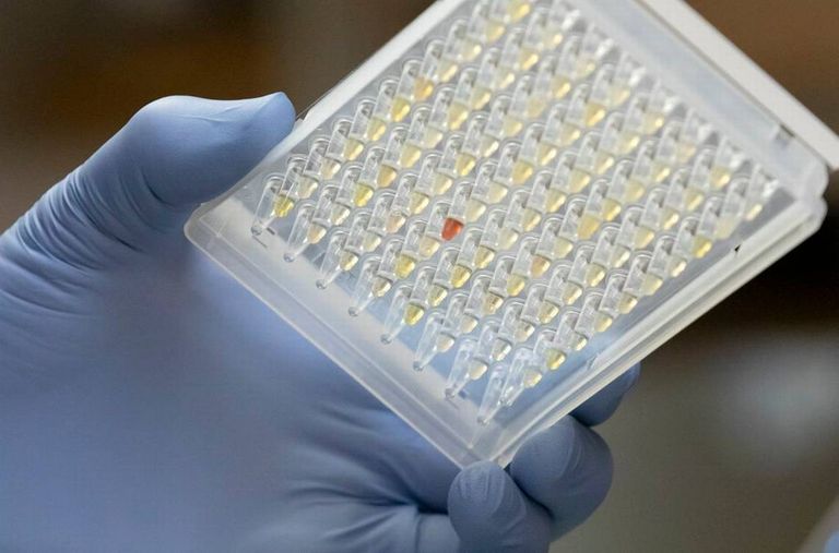 لقاحات ضد فيروس كورونا