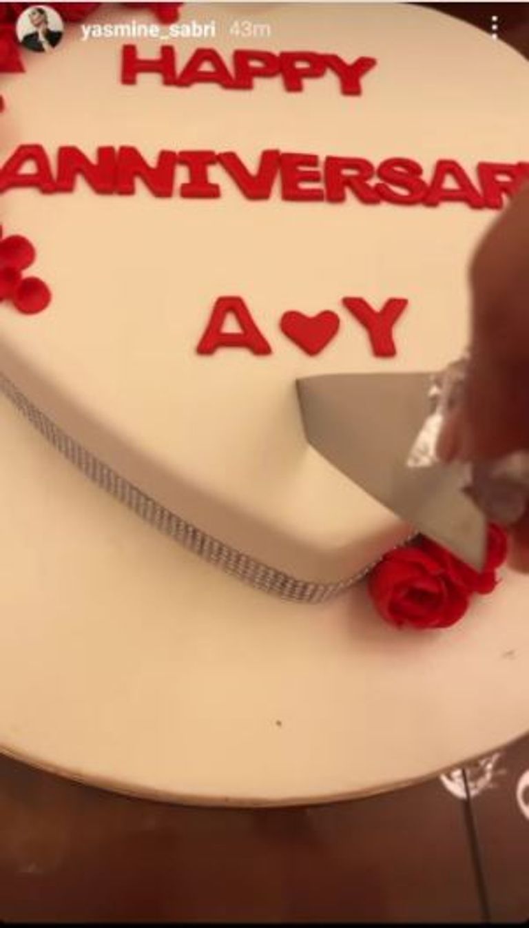 الفنانة المصرية ياسمين صبري ورجل الأعمال أحمد أبوهشيمة