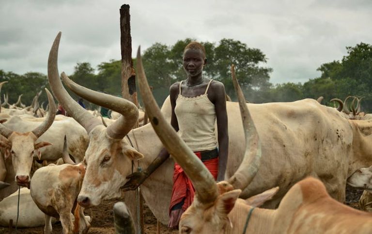 الزواج المبكر يحرم الفتيات من مواصلة تعليمهن