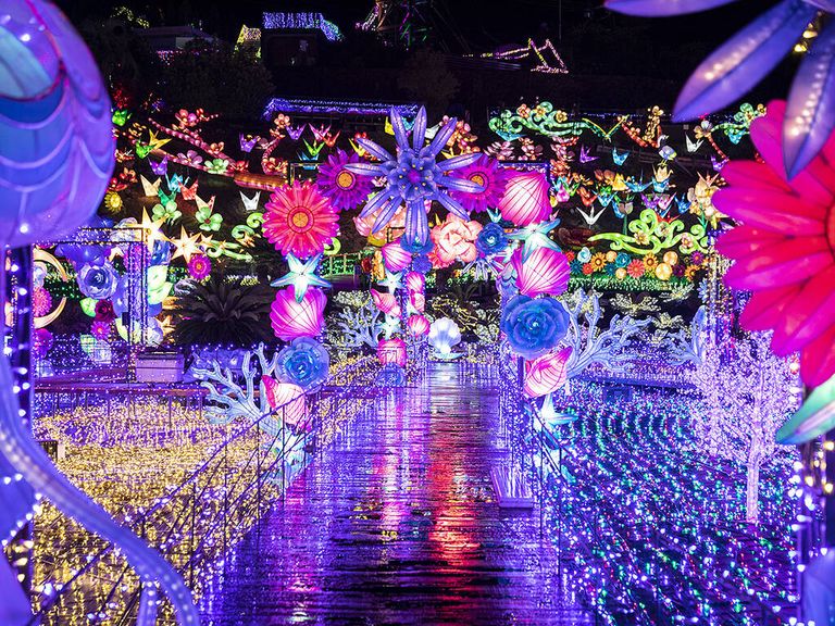 Izu Granpal Park Gran Illumination معرض أضواء  Nabana no Sato Illumination