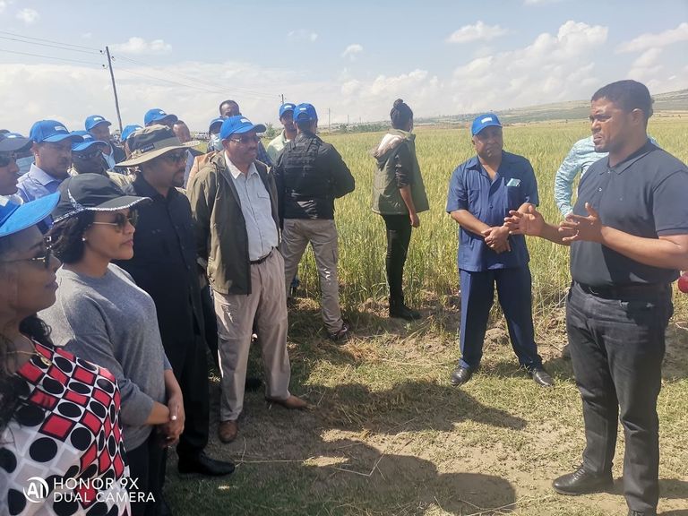 سلاماويت كاسا وزير الدولة بمكتب الاتصال الحكومي الإثيوبي