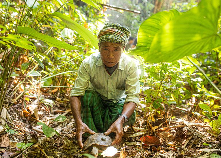 إطلاق سلاحف مهدّدة بالانقراض في غابة في بنجلاديش