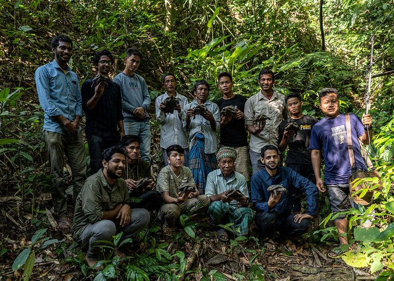 إطلاق سلاحف مهدّدة بالانقراض في غابة في بنجلاديش
