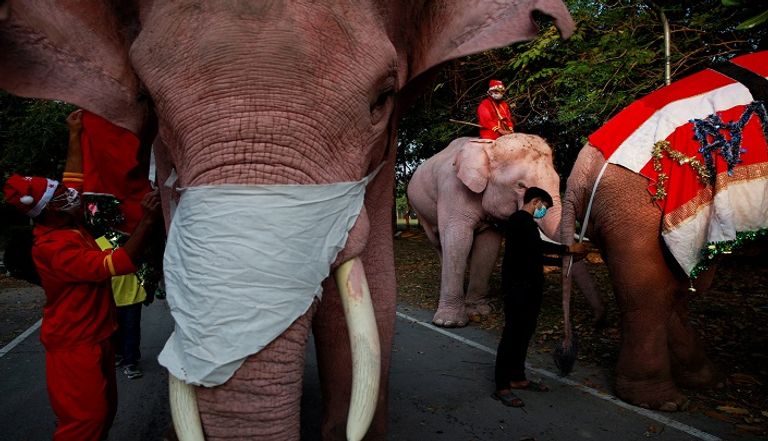 فيلة في زيّ بابا نويل في تايلاند