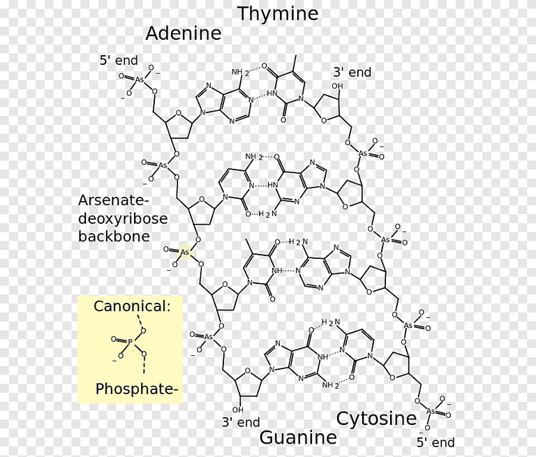 عالم يجري اختبارات في المعمل