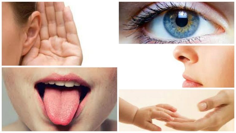 من أشهر الشائعات أن الإنسان أصله قرد