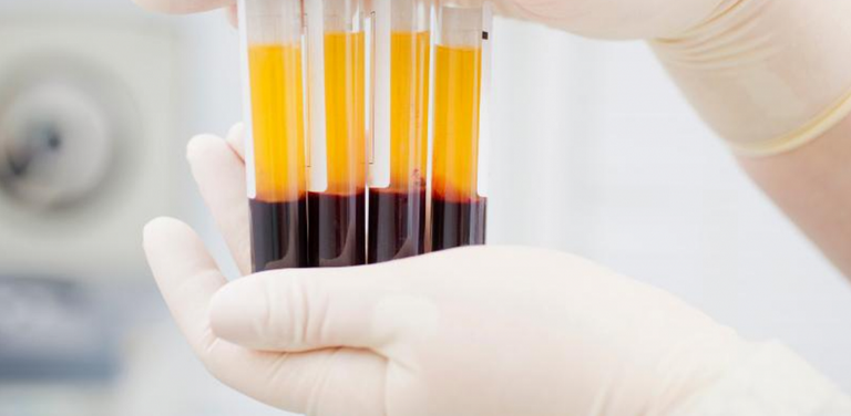 من أشهر الشائعات أن الإنسان أصله قرد