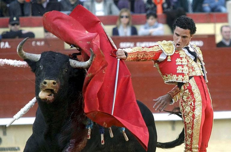 من أشهر الشائعات أن الإنسان أصله قرد