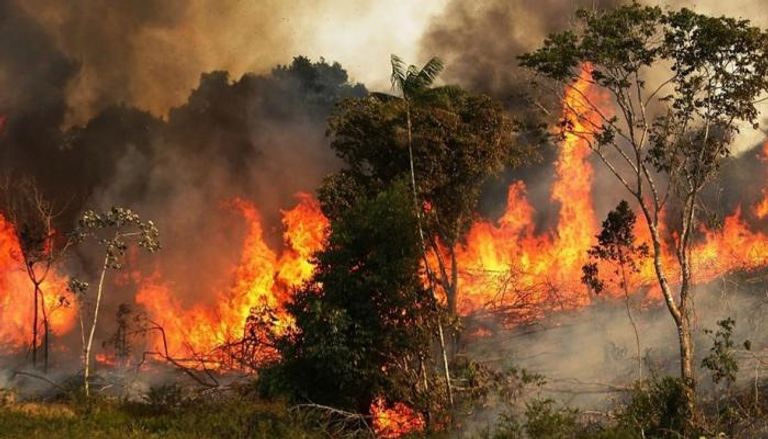 جانب من حرائق الغابات التي شهدها العالم خلال العام