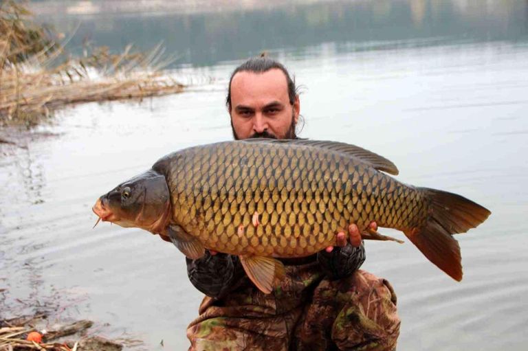 الصيادان رفقة السمكة العملاقة