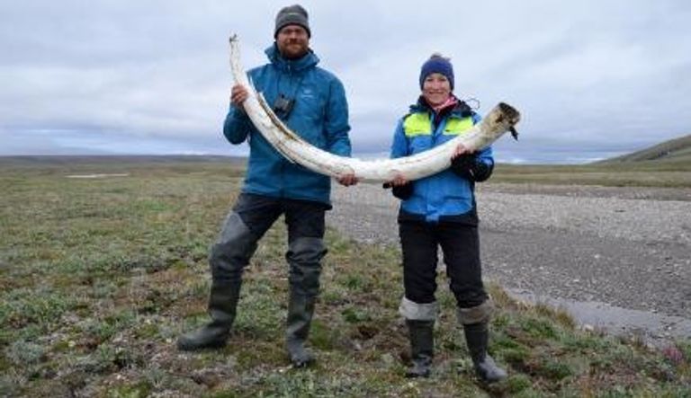 شهد عام 2021 اكتشافات في مجالات العلم المختلفة