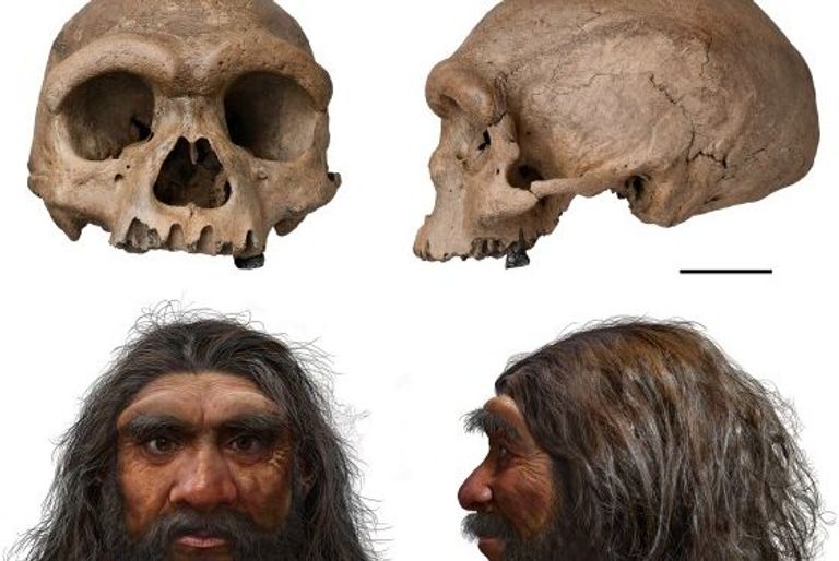 شهد عام 2021 اكتشافات في مجالات العلم المختلفة