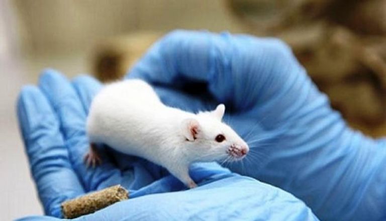 شهد عام 2021 اكتشافات في مجالات العلم المختلفة