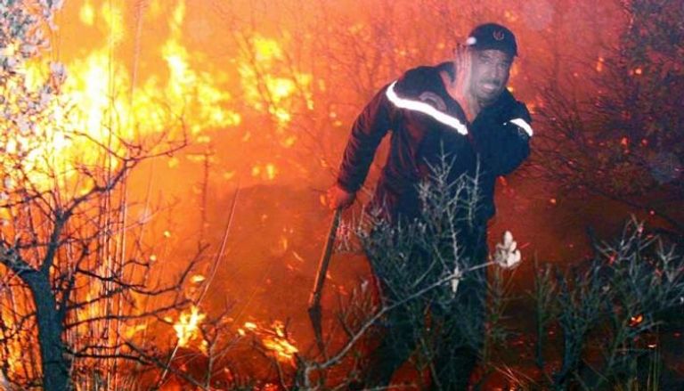 حرائق الغابات التي ضربت الجزائر في 2021 - أرشيفية